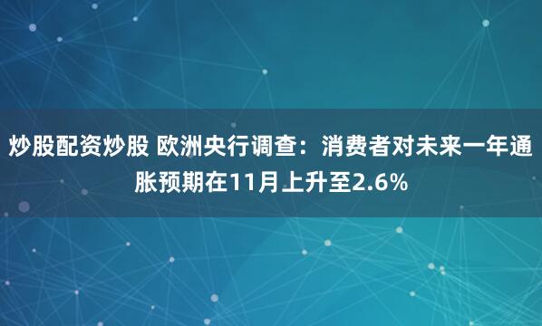 炒股配资炒股 欧洲央行调查：消费者对未来一年通胀预期在11月上升至2.6%