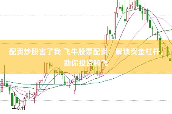 配资炒股害了我 飞牛股票配资：解锁资金杠杆，助你投资腾飞