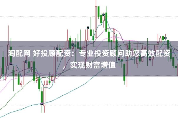淘配网 好投顾配资：专业投资顾问助您高效配资，实现财富增值