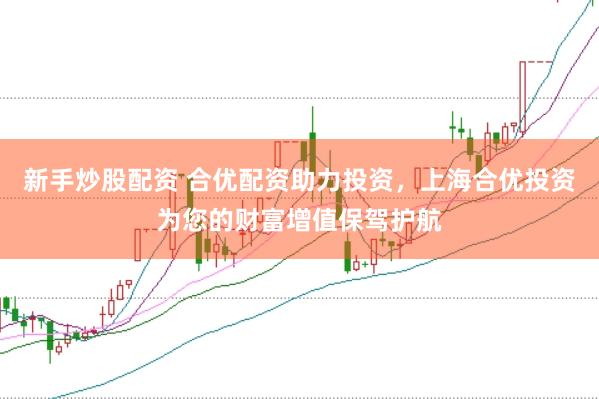 新手炒股配资 合优配资助力投资，上海合优投资为您的财富增值保驾护航