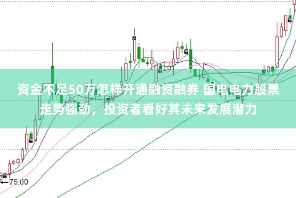 资金不足50万怎样开通融资融券 国电电力股票走势强劲，投资者看好其未来发展潜力