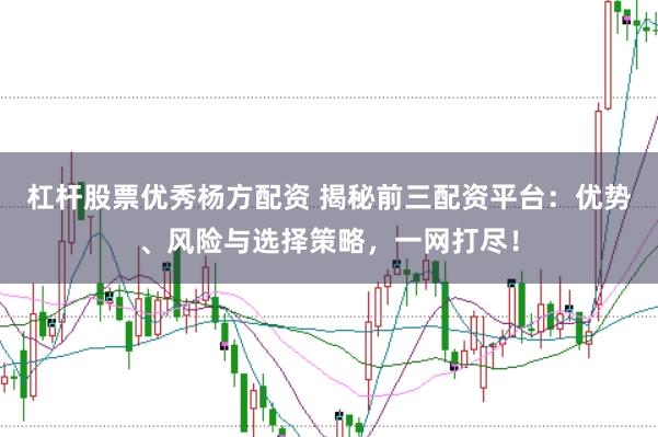 杠杆股票优秀杨方配资 揭秘前三配资平台：优势、风险与选择策略，一网打尽！