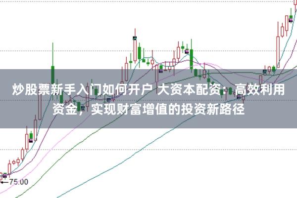 炒股票新手入门如何开户 大资本配资：高效利用资金，实现财富增值的投资新路径