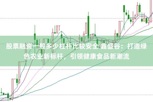 股票融资一般多少杠杆比较安全 鑫盛谷：打造绿色农业新标杆，引领健康食品新潮流