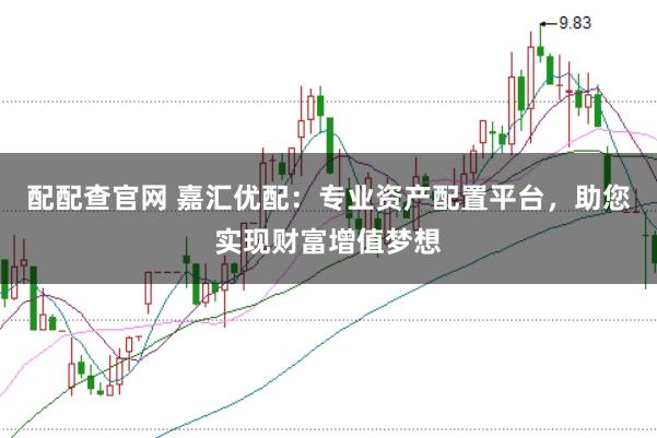 配配查官网 嘉汇优配：专业资产配置平台，助您实现财富增值梦想