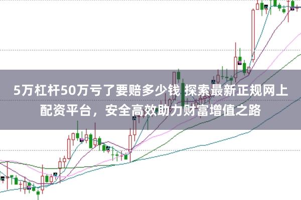 5万杠杆50万亏了要赔多少钱 探索最新正规网上配资平台，安全高效助力财富增值之路