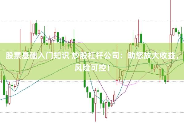 股票基础入门知识 炒股杠杆公司：助您放大收益，风险可控！