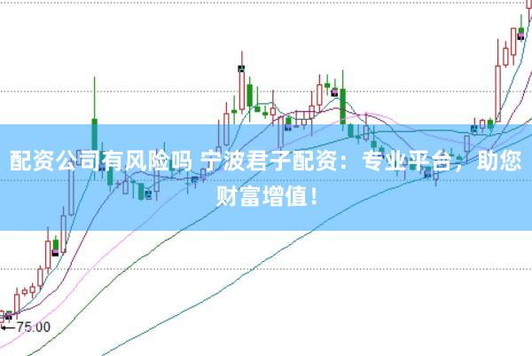 配资公司有风险吗 宁波君子配资：专业平台，助您财富增值！