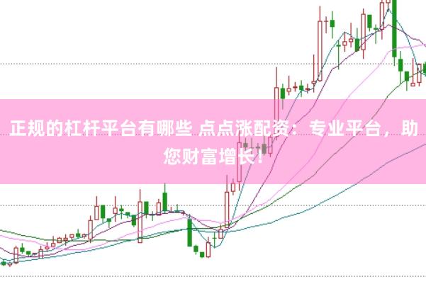 正规的杠杆平台有哪些 点点涨配资：专业平台，助您财富增长！