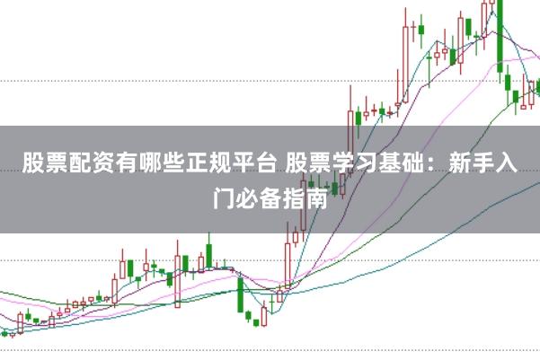 股票配资有哪些正规平台 股票学习基础：新手入门必备指南